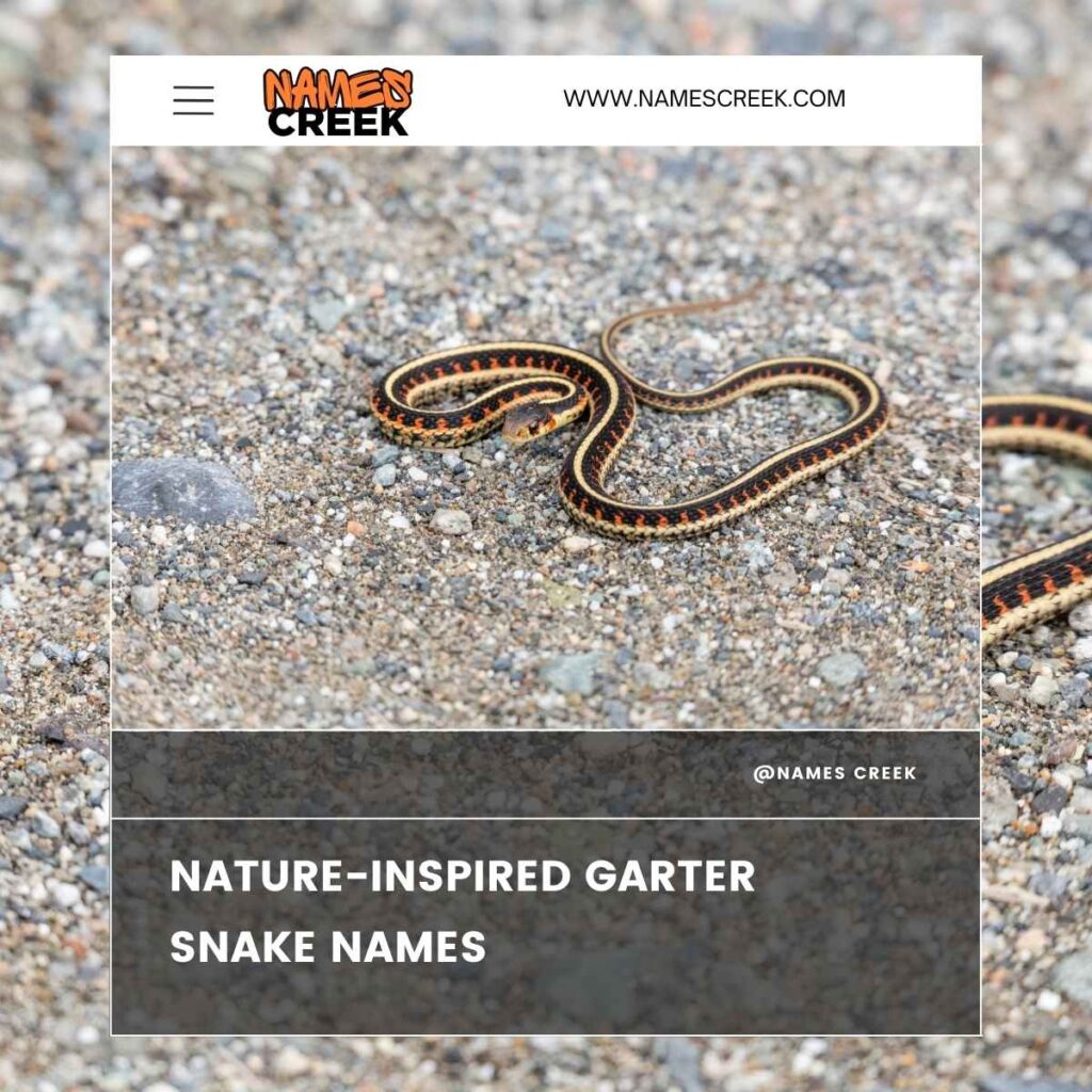 Nature-Inspired Garter Snake Names