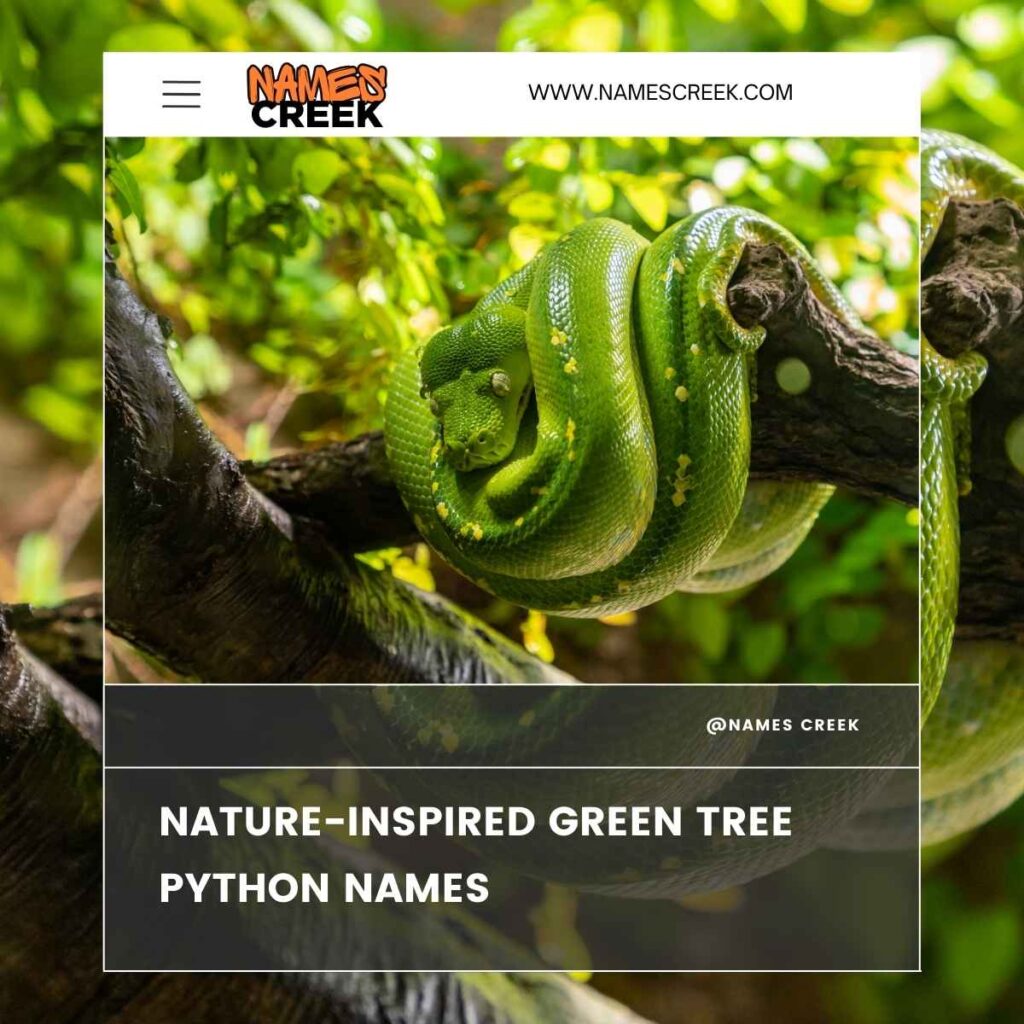 Nature-Inspired Green Tree Python Names