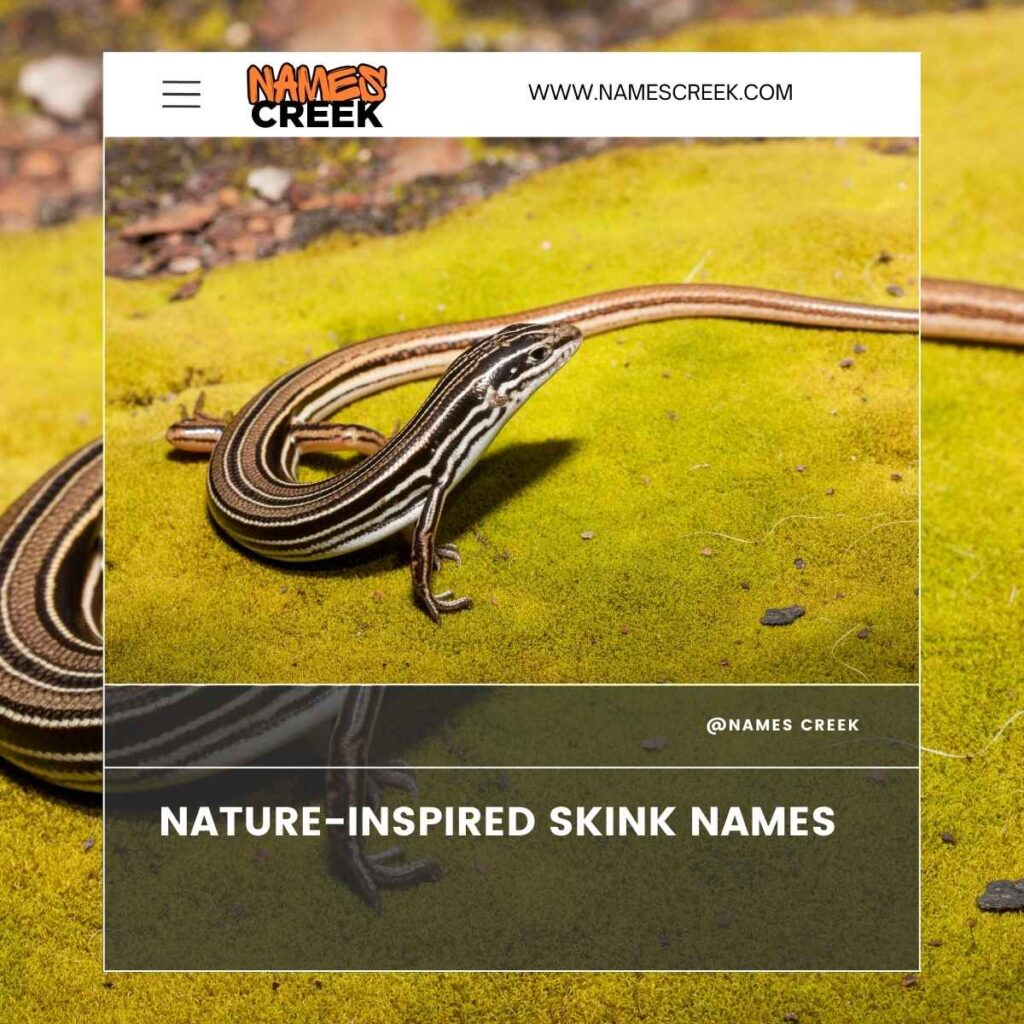 Nature-Inspired Skink Names