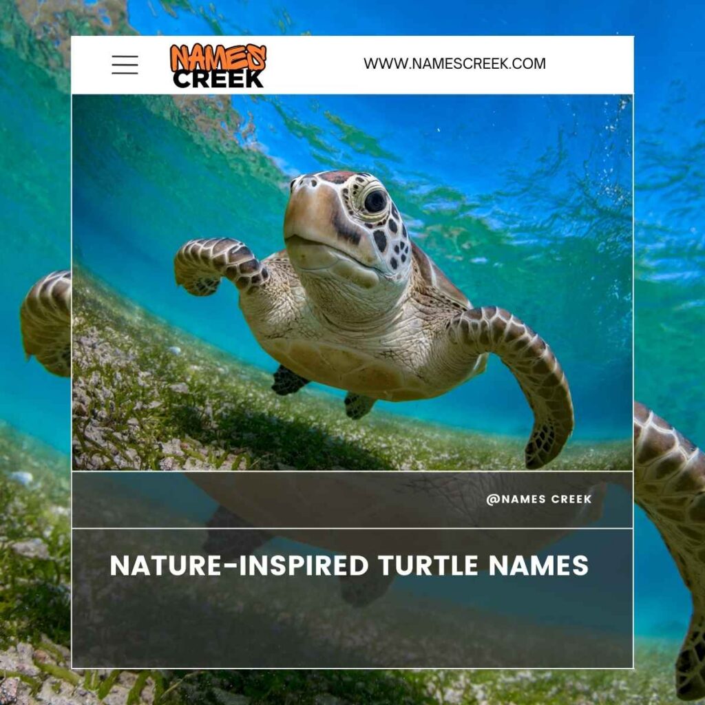 Nature-Inspired Turtle Names