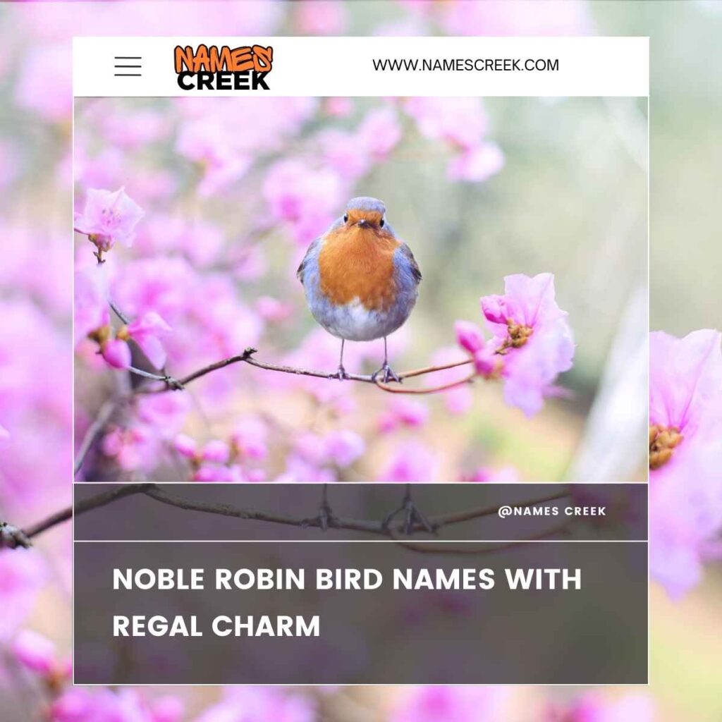 Noble Robin Bird Names with Regal Charm