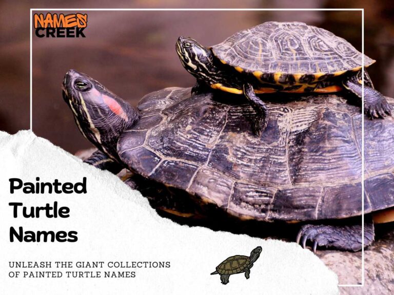 170 Exotic Painted Turtle Names