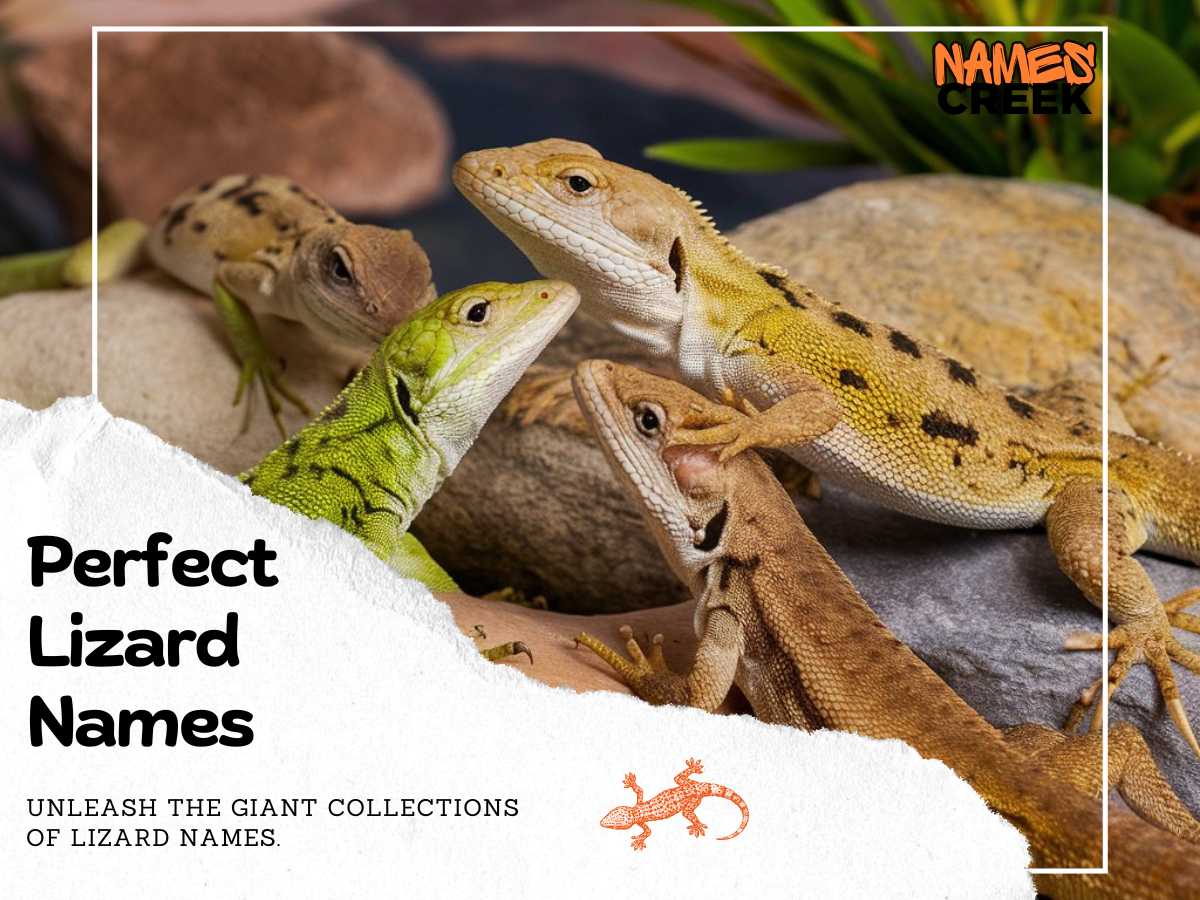 Perfect Lizard Names