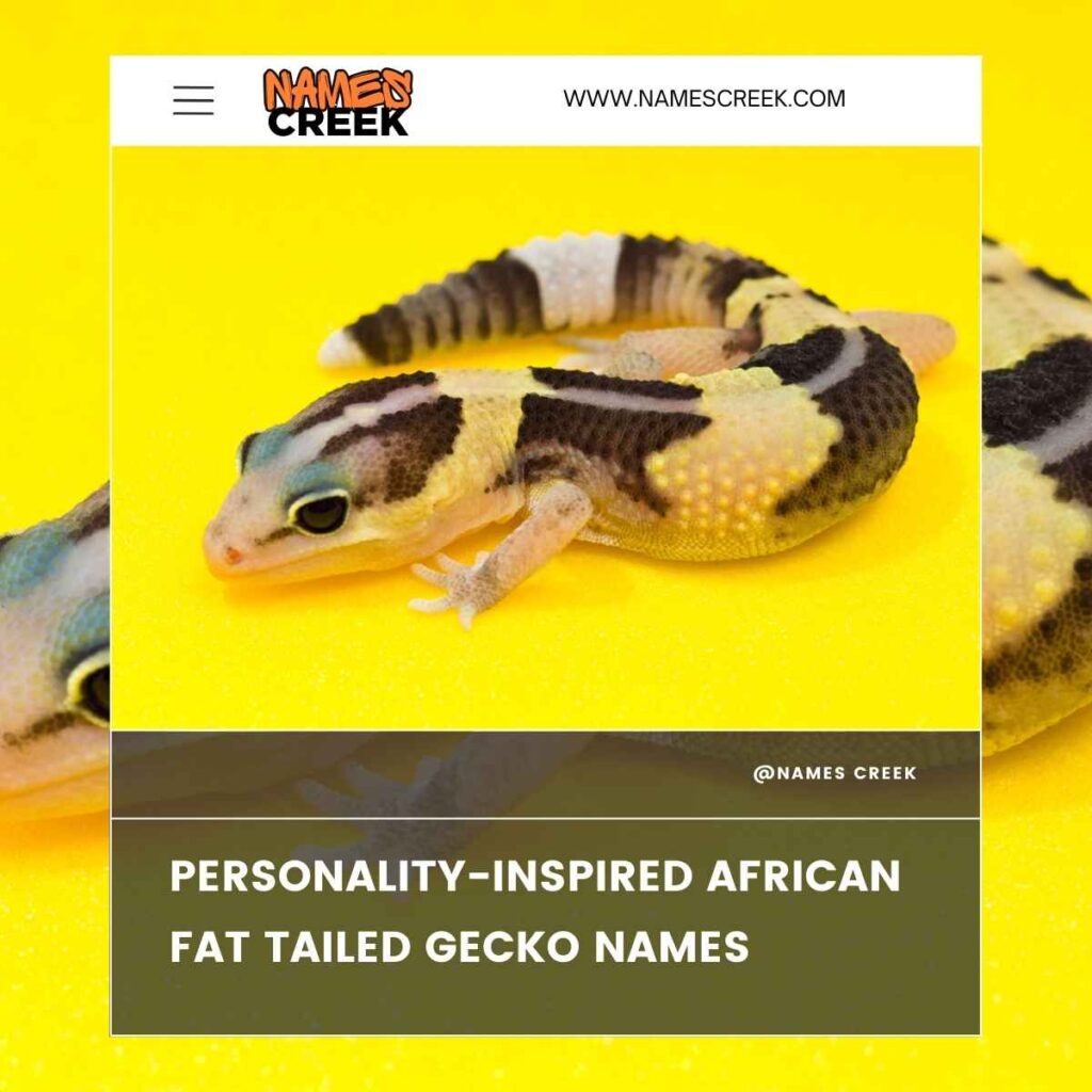 Personality-Inspired African Fat Tailed Gecko Names