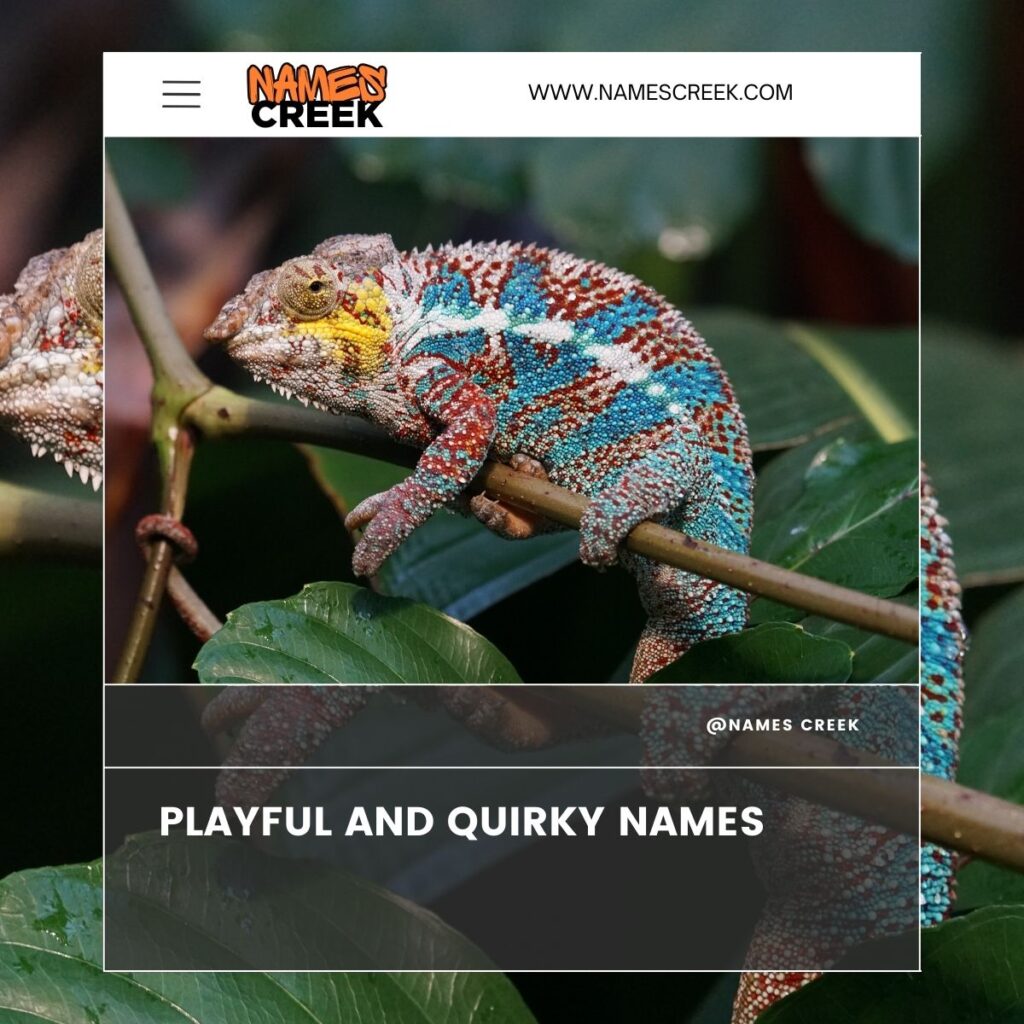 Playful and Quirky Chameleon Names