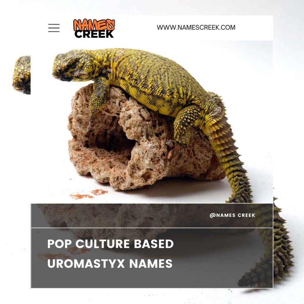 Pop Culture Based Uromastyx Names