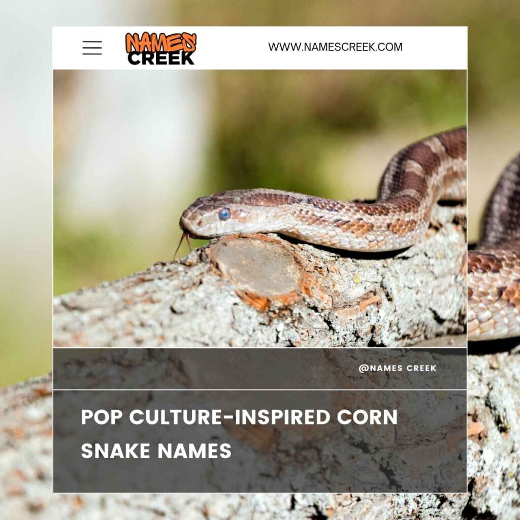 150 Cute And Sassy Corn Snake Names