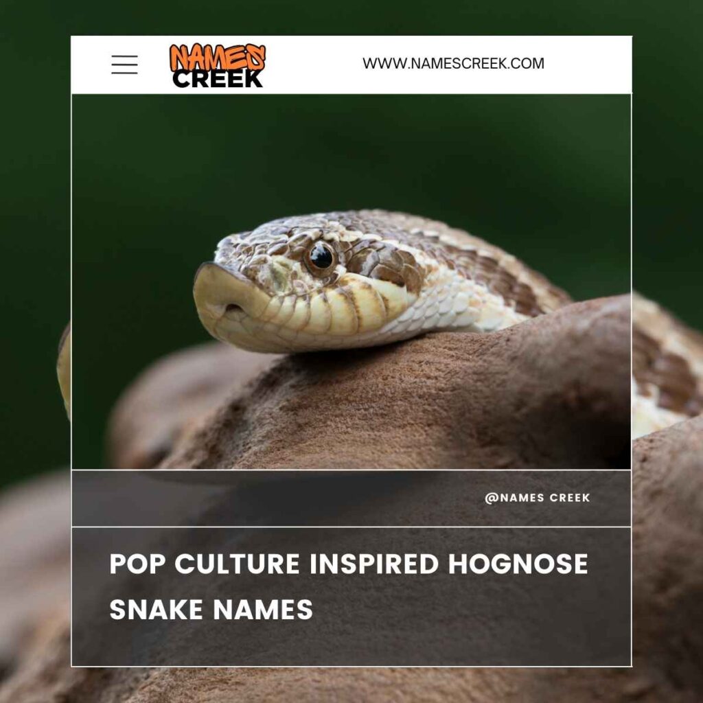 Pop Culture Inspired Hognose Snake Names