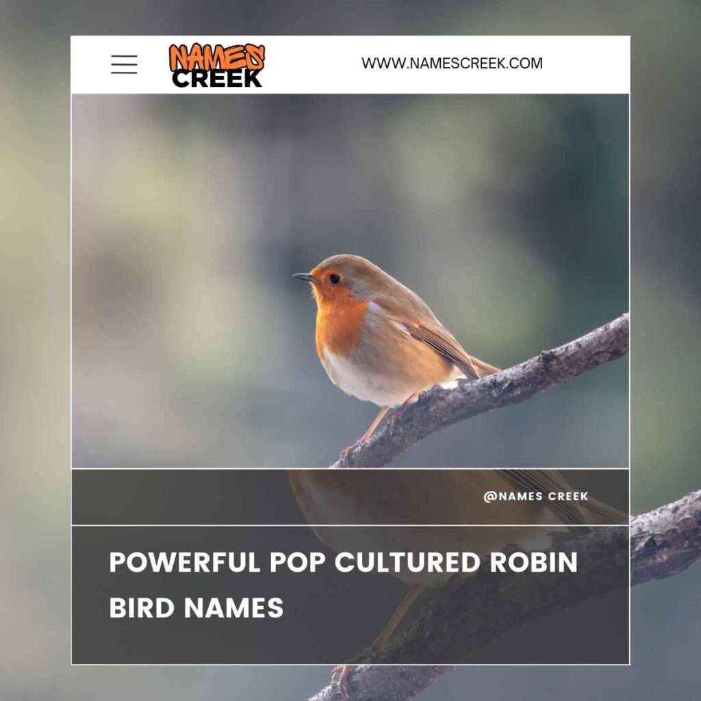 Powerful Pop Cultured Robin Bird Names