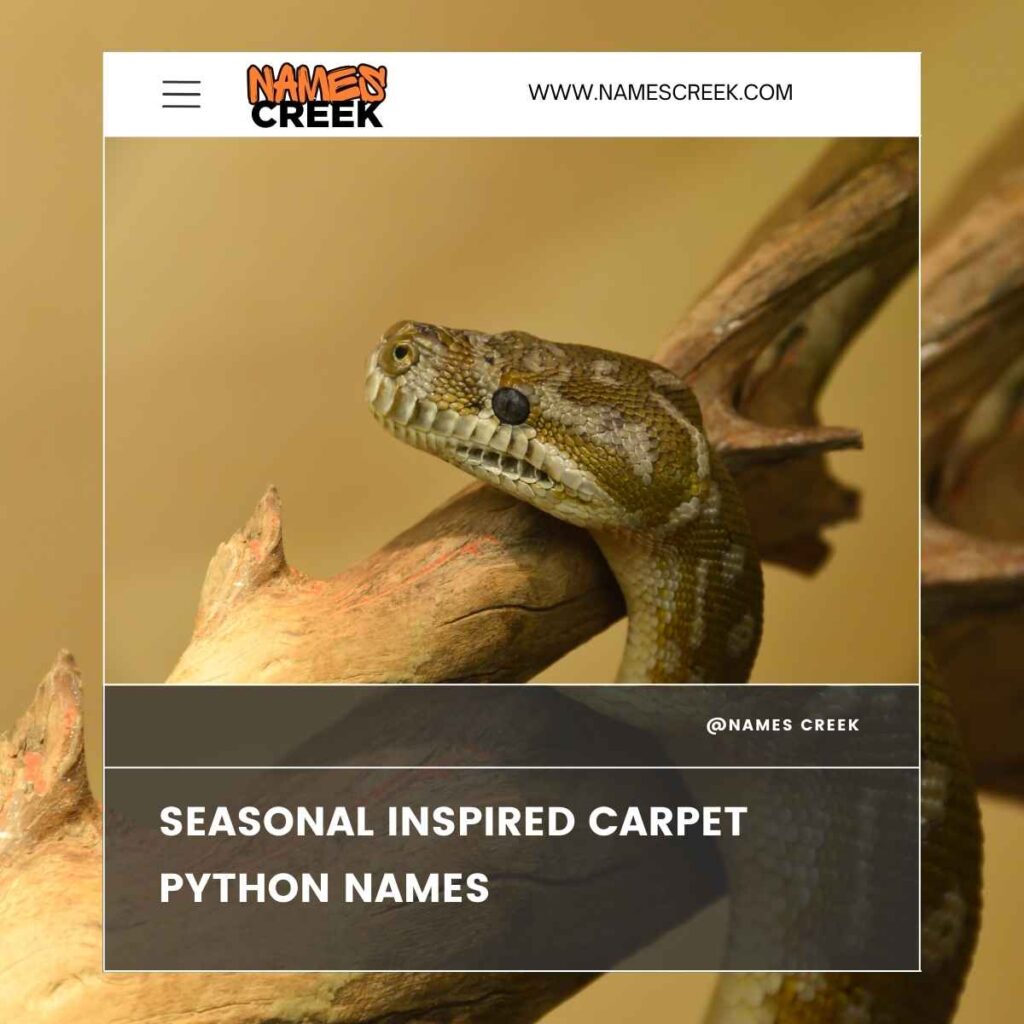 Seasonal Inspired Carpet Python Names