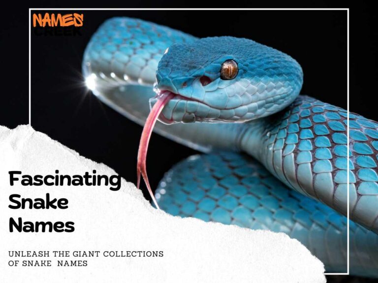 260 Fascinating Snake Names 260-fascinating-snake-names