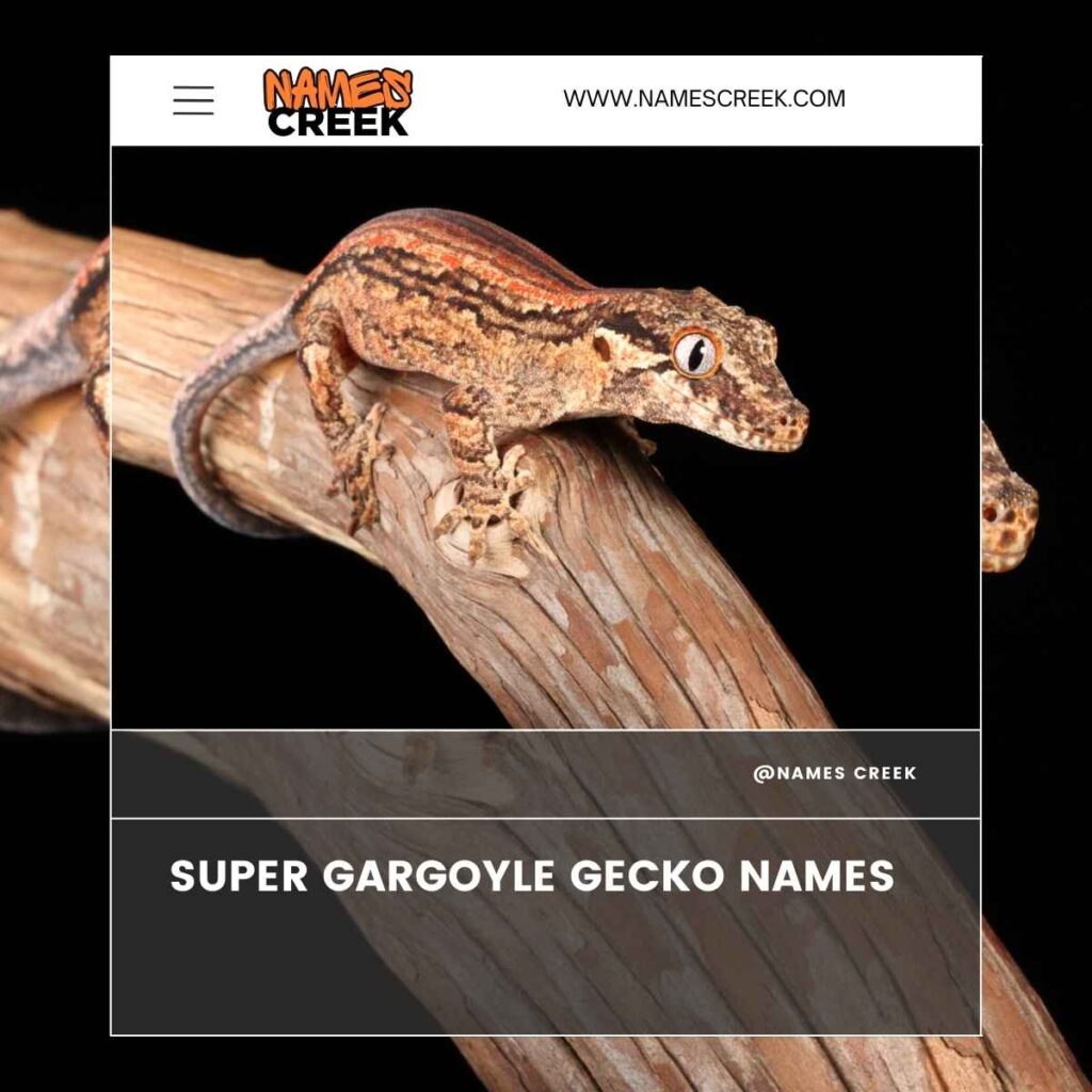 Super Gargoyle Gecko Names