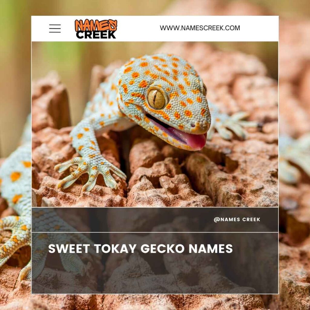 Sweet Tokay Gecko Names