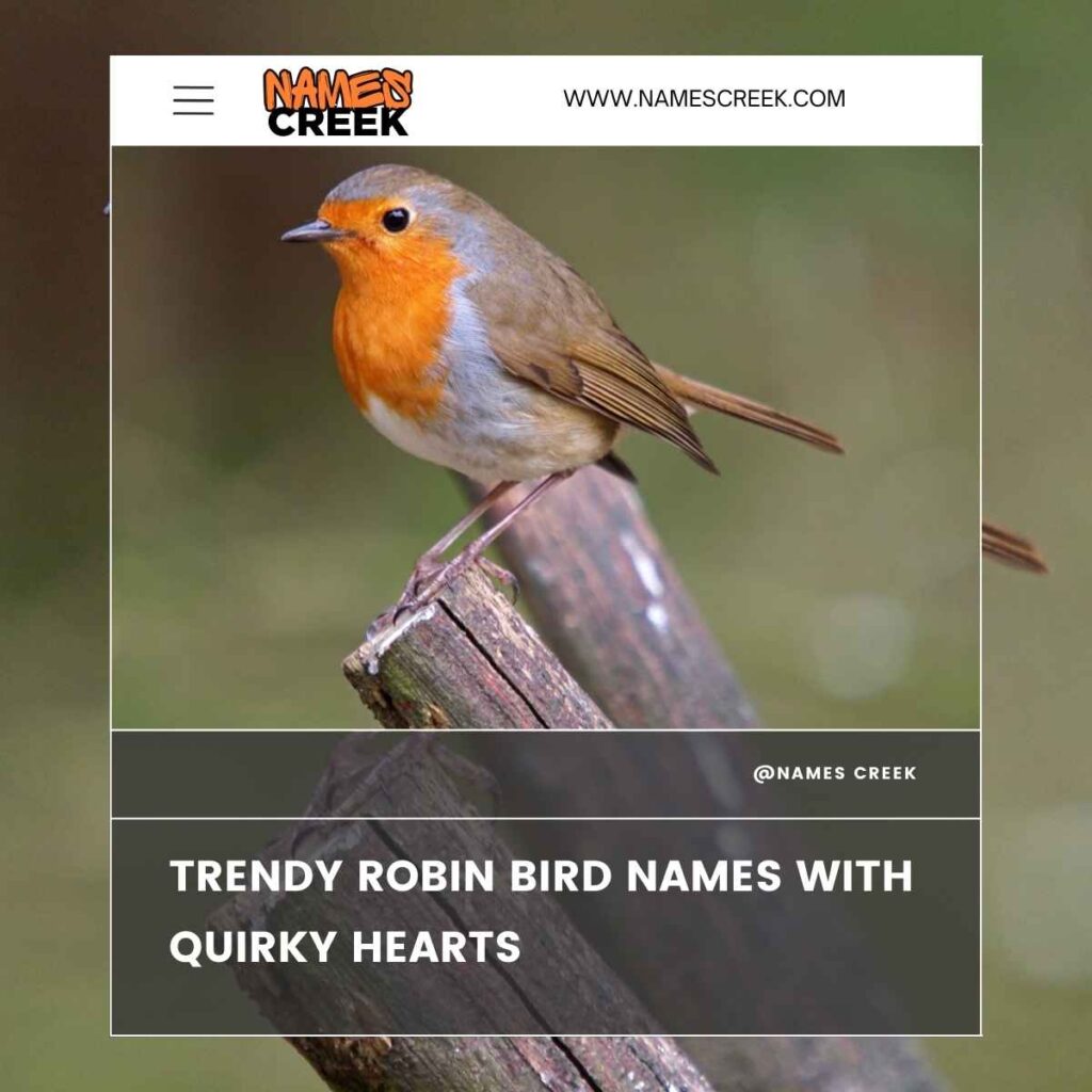 Trendy Robin Bird Names with Quirky Hearts