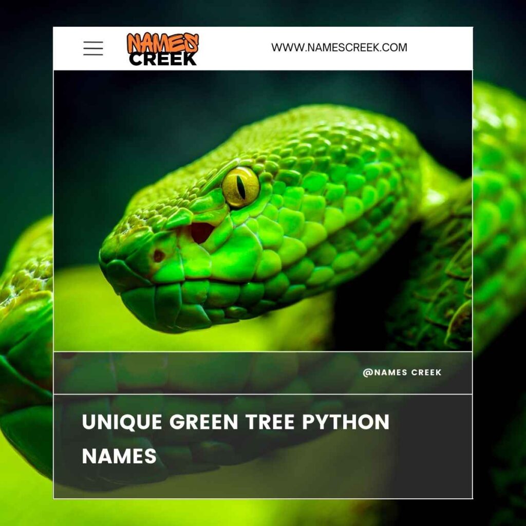 Unique Green Tree Python Names