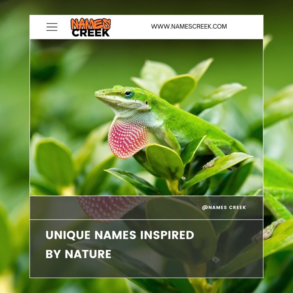 Unique Names Inspired by Nature