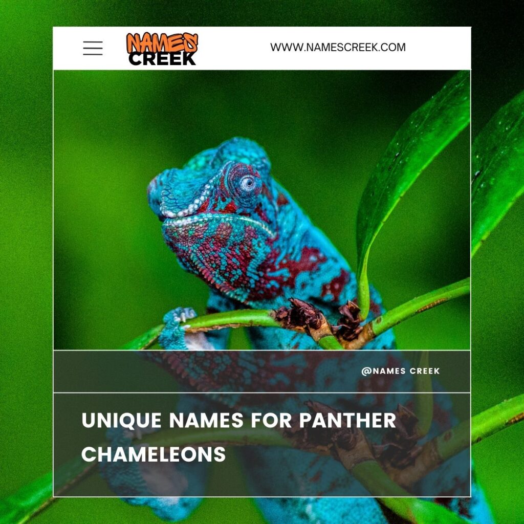 Unique Names for Panther Chameleons