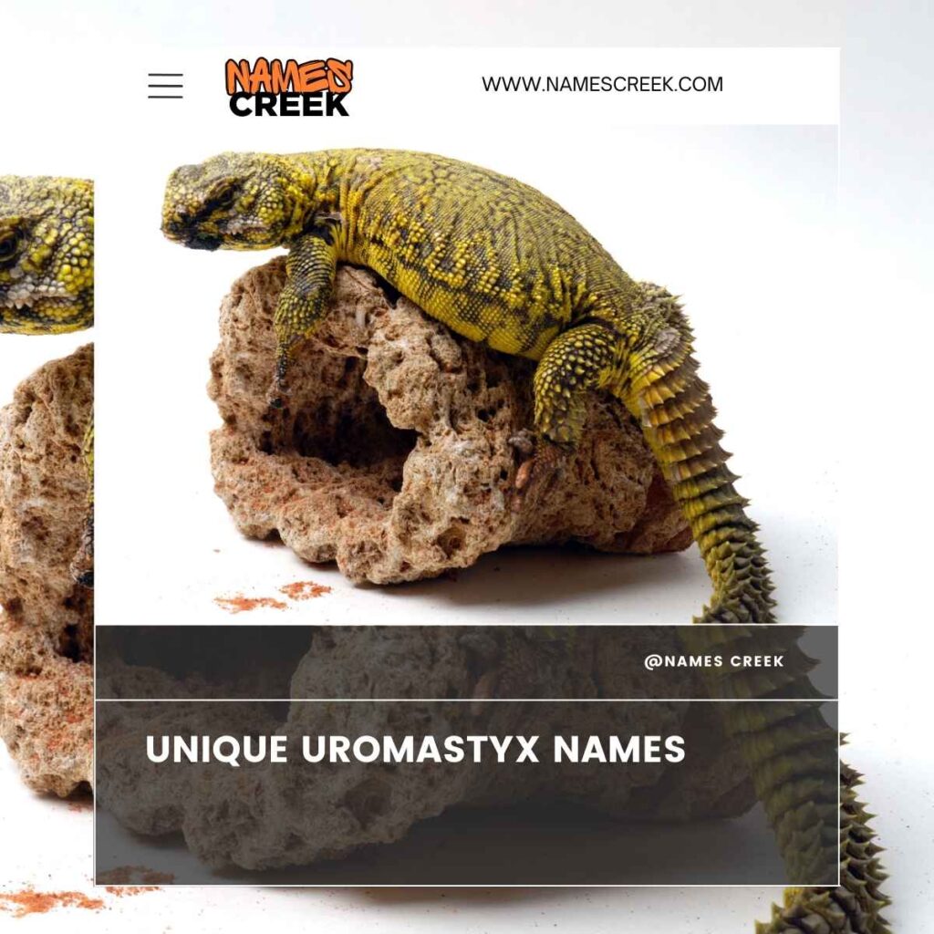 Unique Uromastyx Names