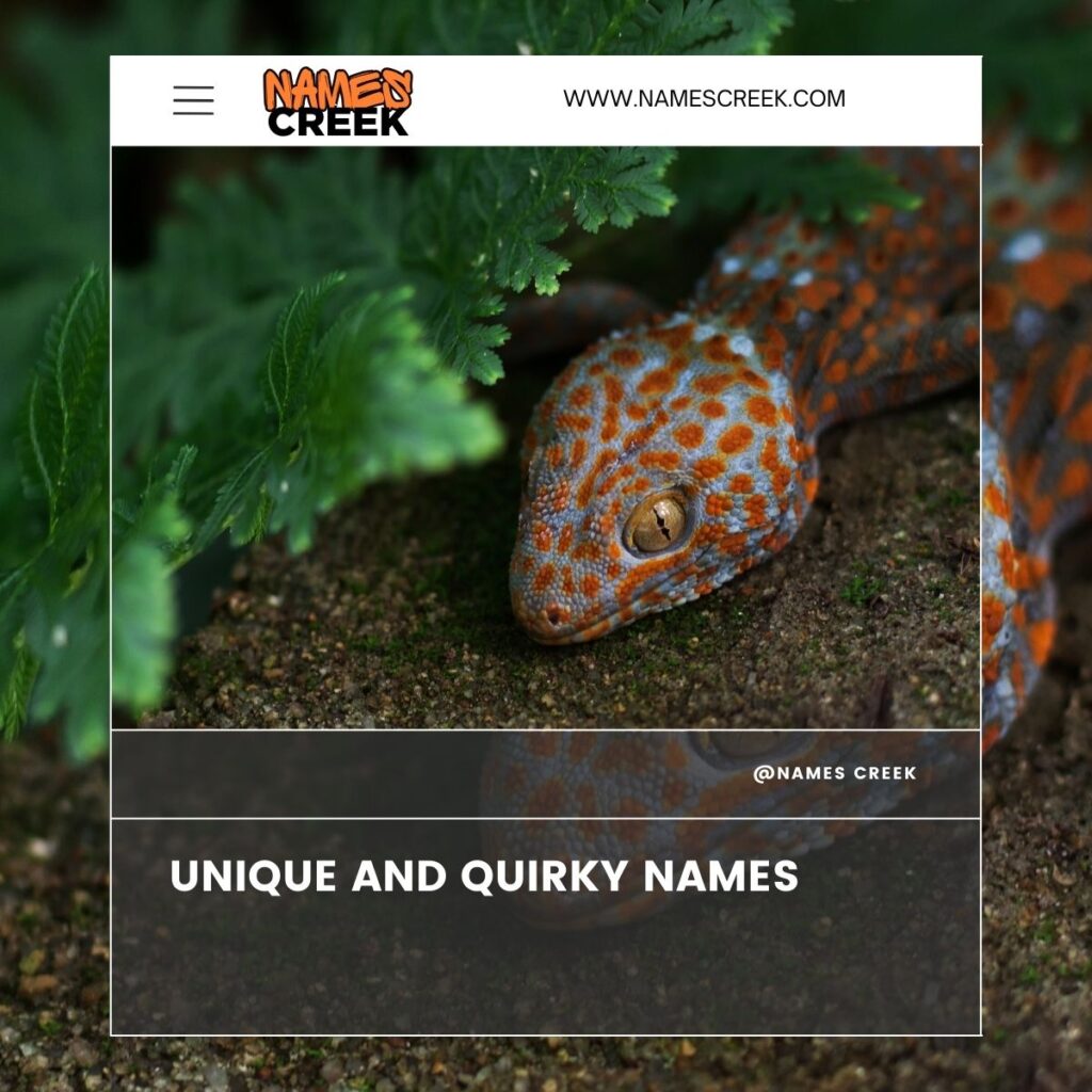 Tokay Gecko Unique and Quirky Names