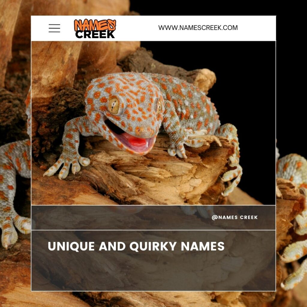 Tokay Gecko Unique and Quirky Names