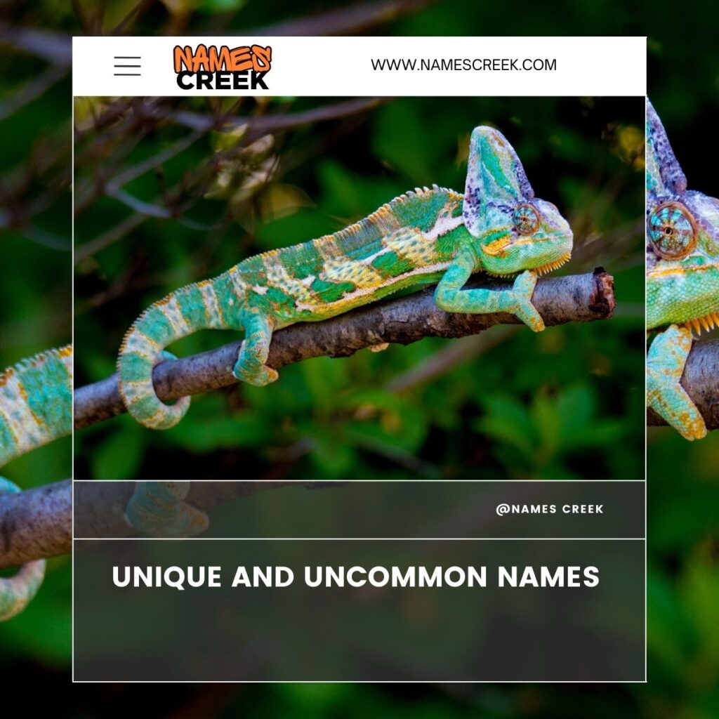 Unique and Uncommon Chameleon Names