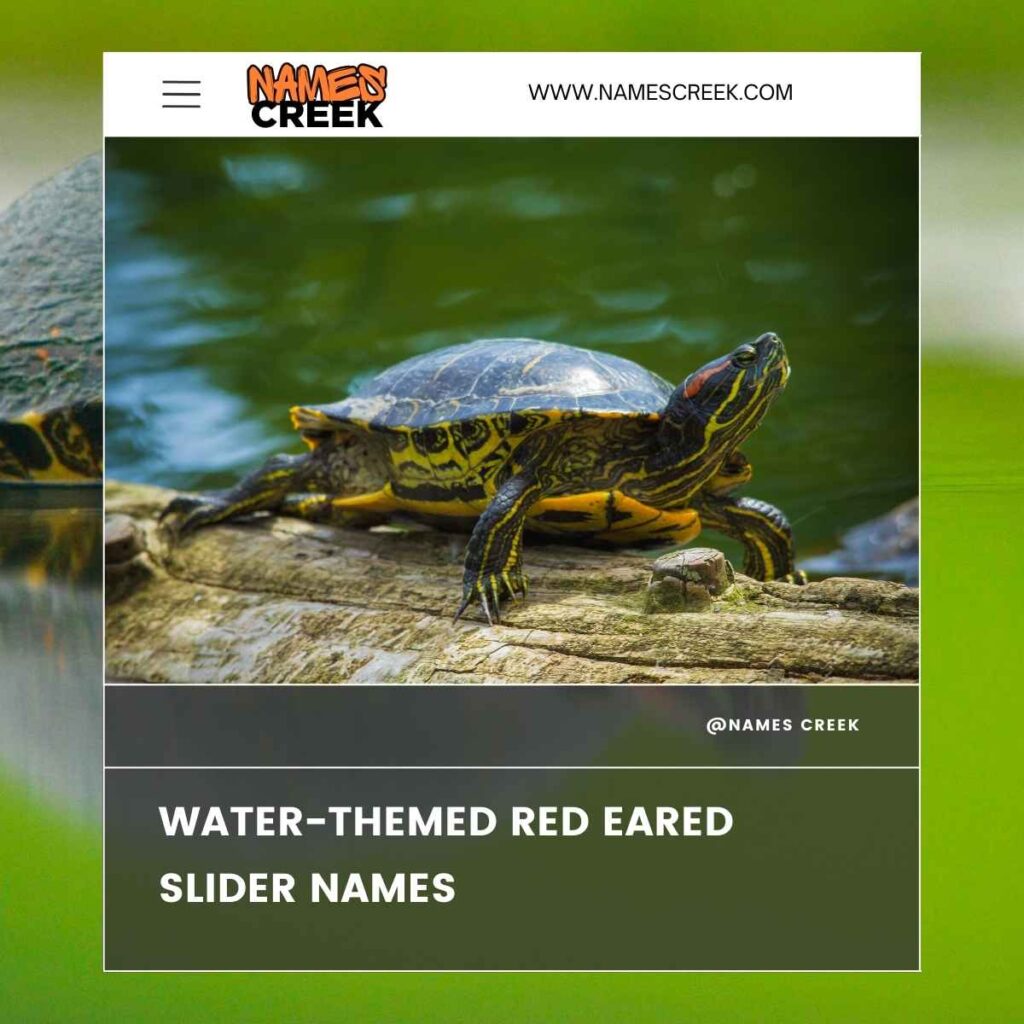 Water-Themed Red Eared Slider Names