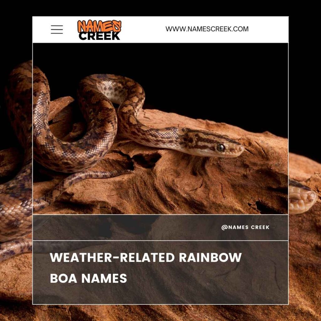 Weather-Related Rainbow Boa Names