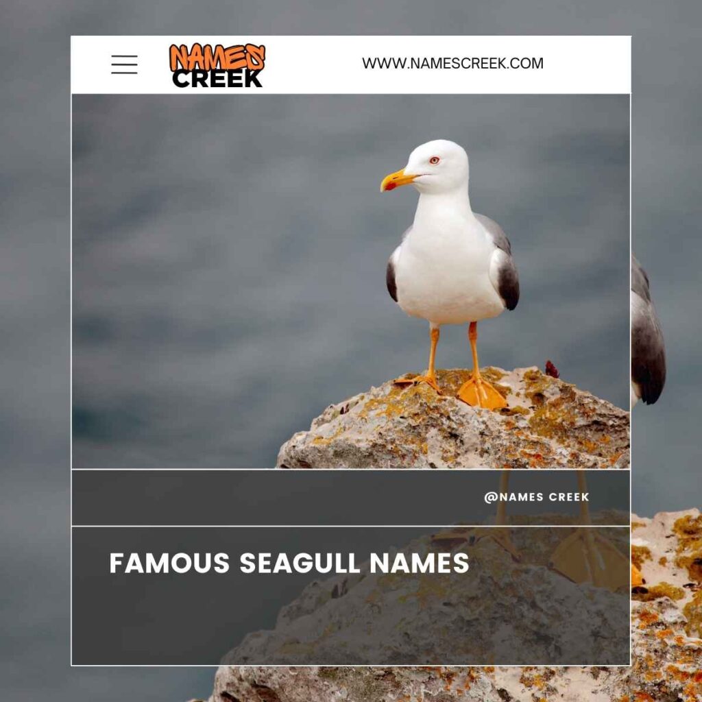 Famous Seagull Names