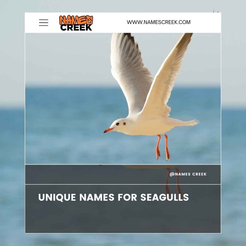 Unique Names for Seagulls