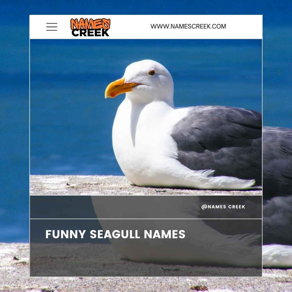 Funny Seagull Names