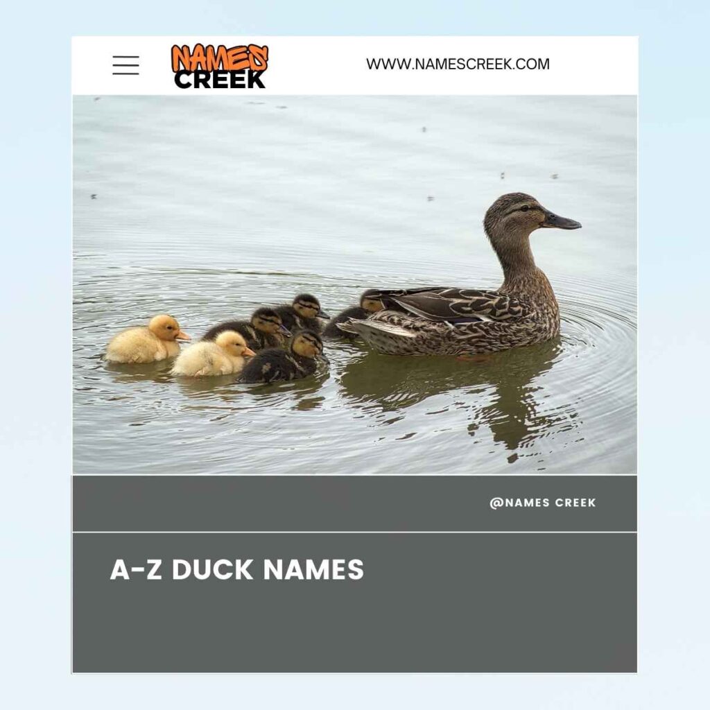 A-Z Duck Names