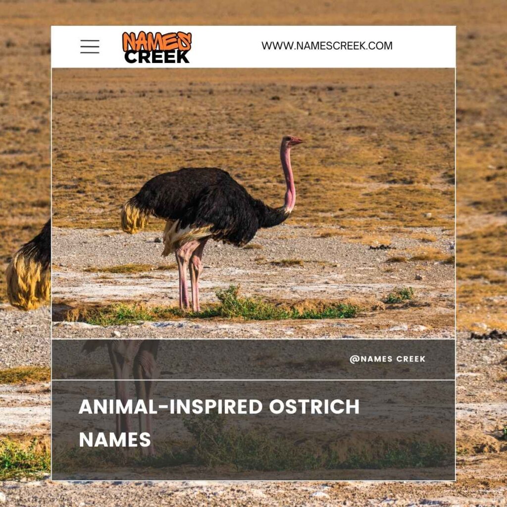 Animal-Inspired Ostrich Names