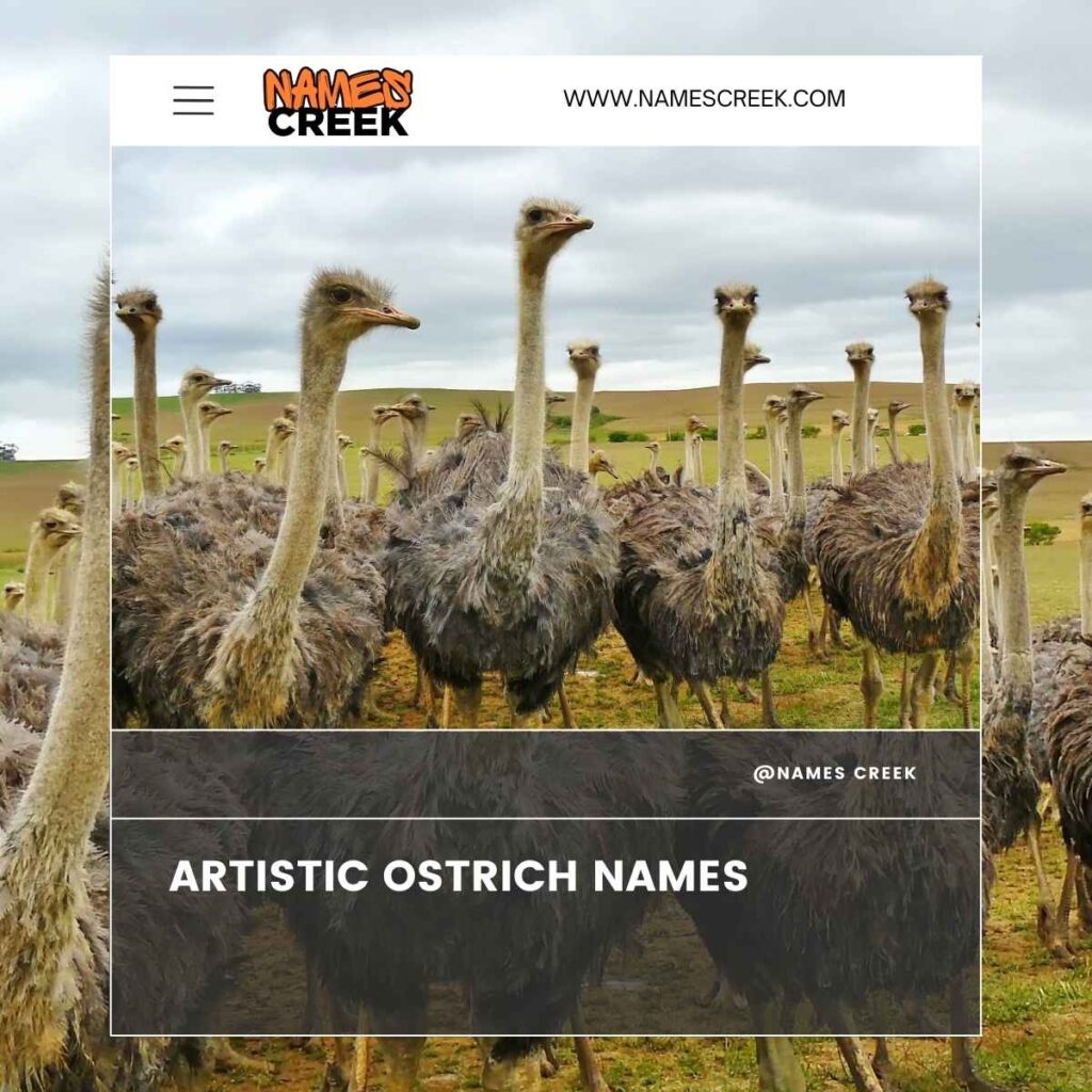 Artistic Ostrich Names