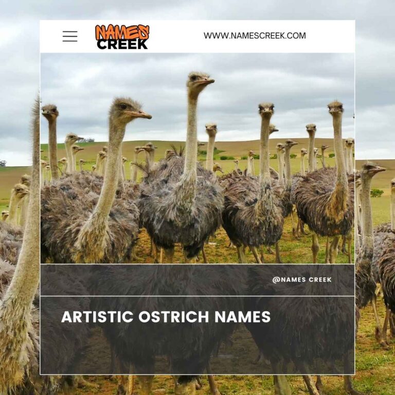 370 Ostrich Names A Perfect List With Ai Generator