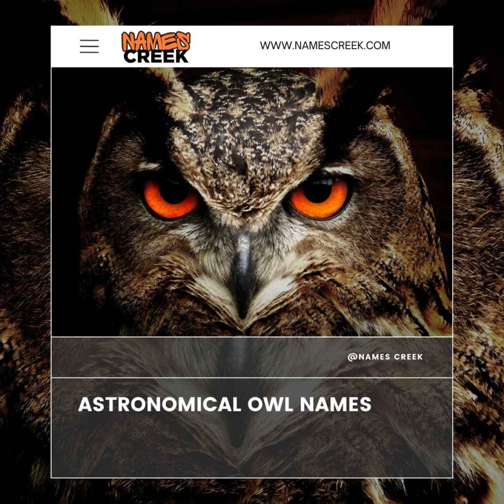 Astronomical Owl Names