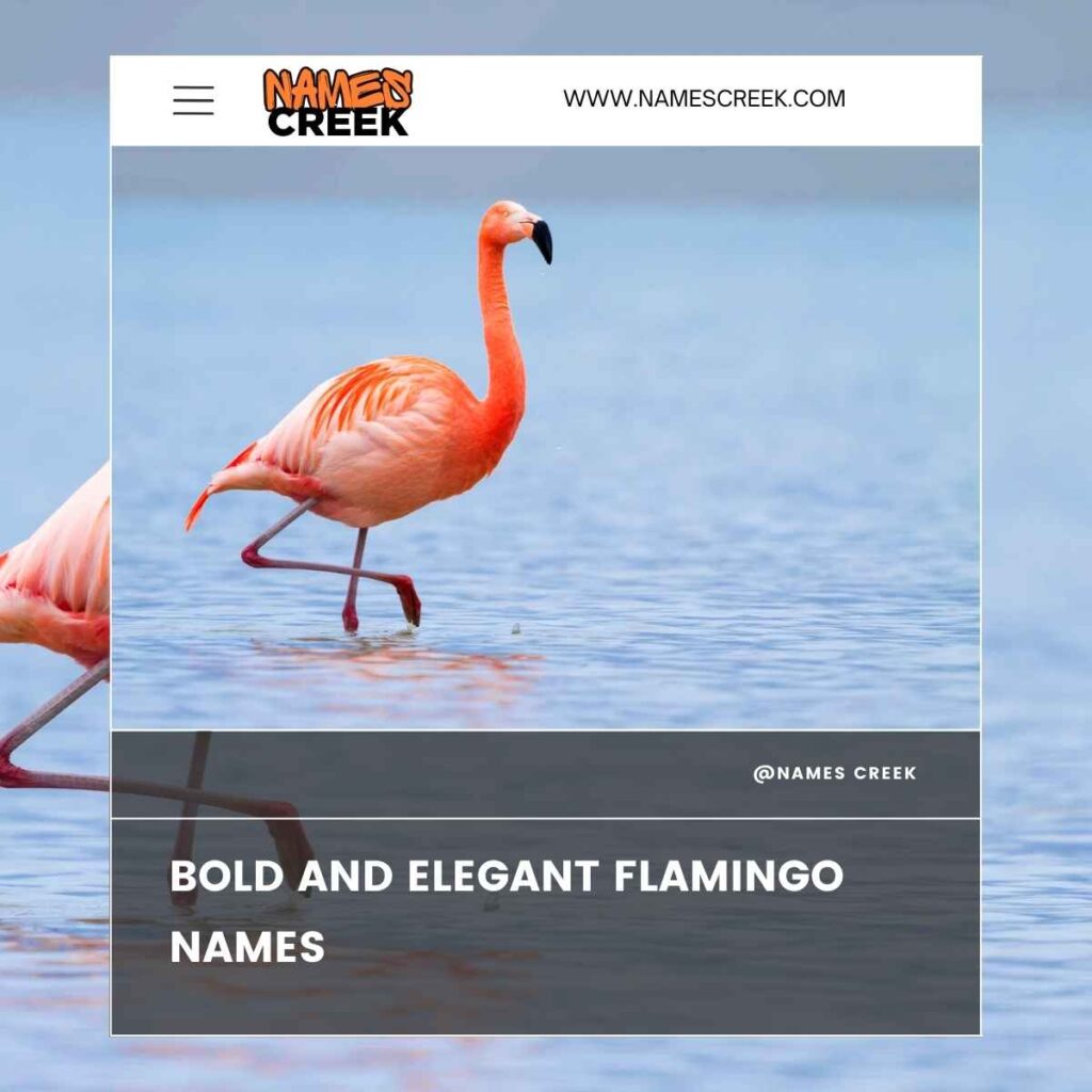 Bold and Elegant Flamingo Names