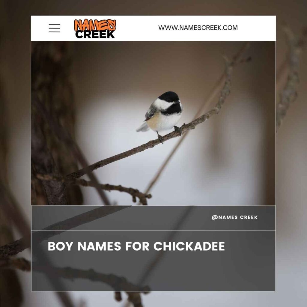 Boy Names for Chickadee