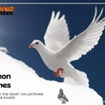 260 Captivating Pigeon Names: From Classic to Quirky