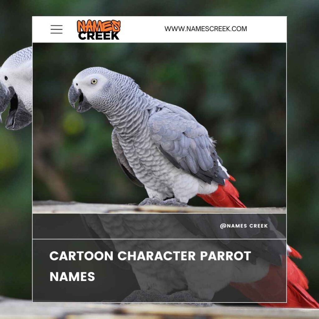 Cartoon Character Parrot Names