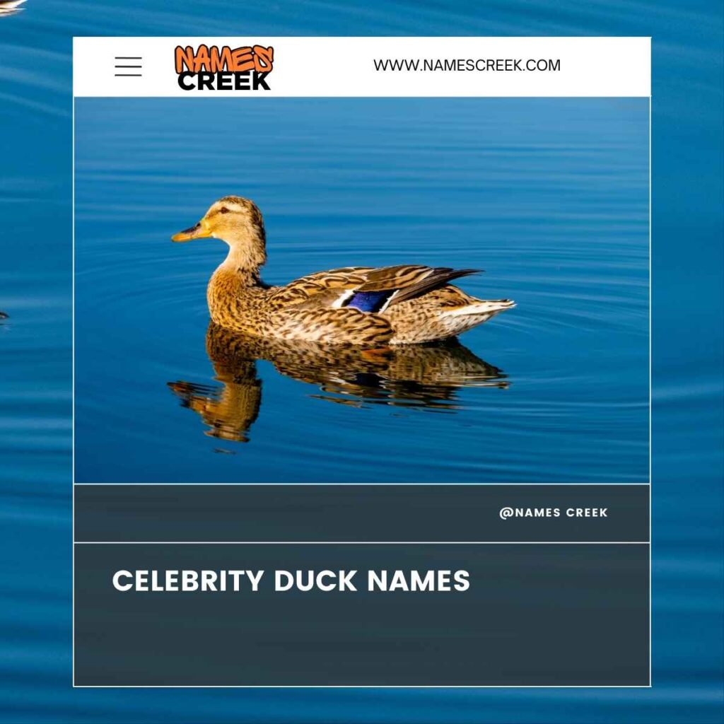 Celebrity Duck Names