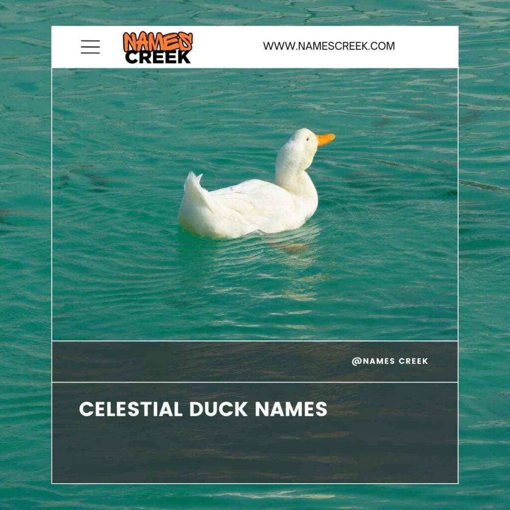 Celestial Duck Names