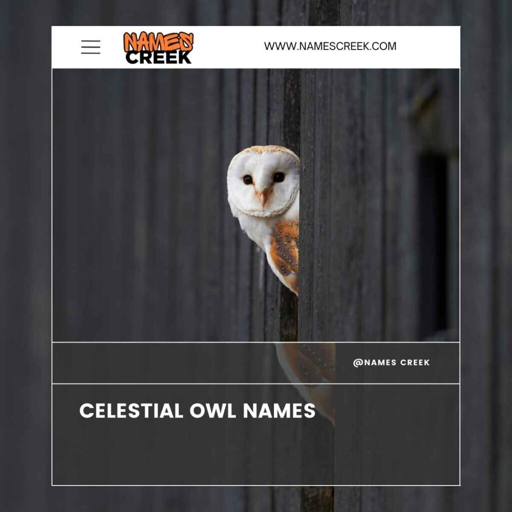 Celestial Owl Names