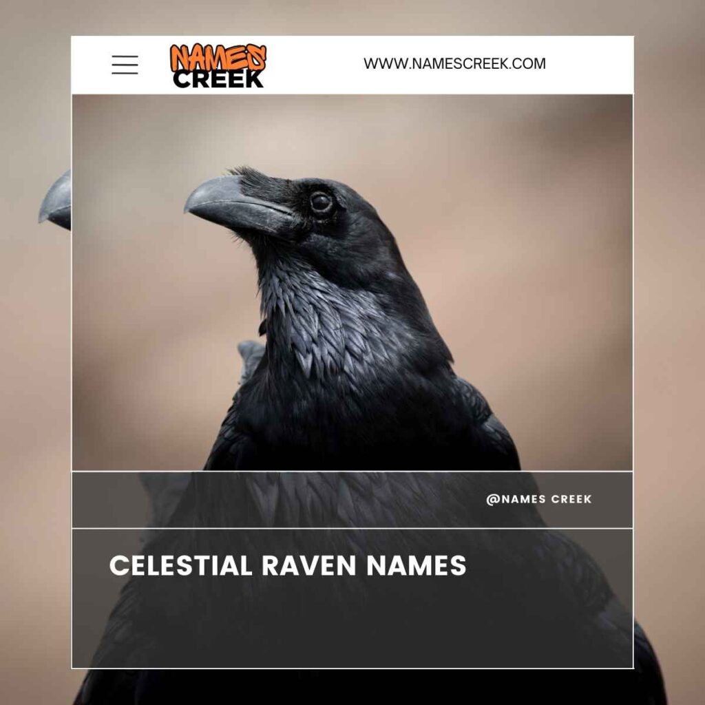 Celestial Raven Names