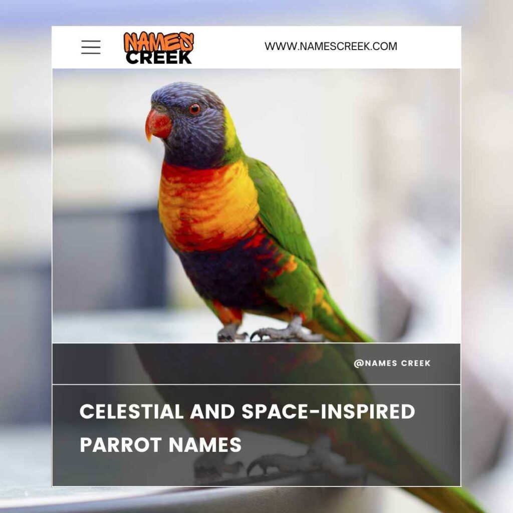 Celestial and Space-Inspired Parrot Names