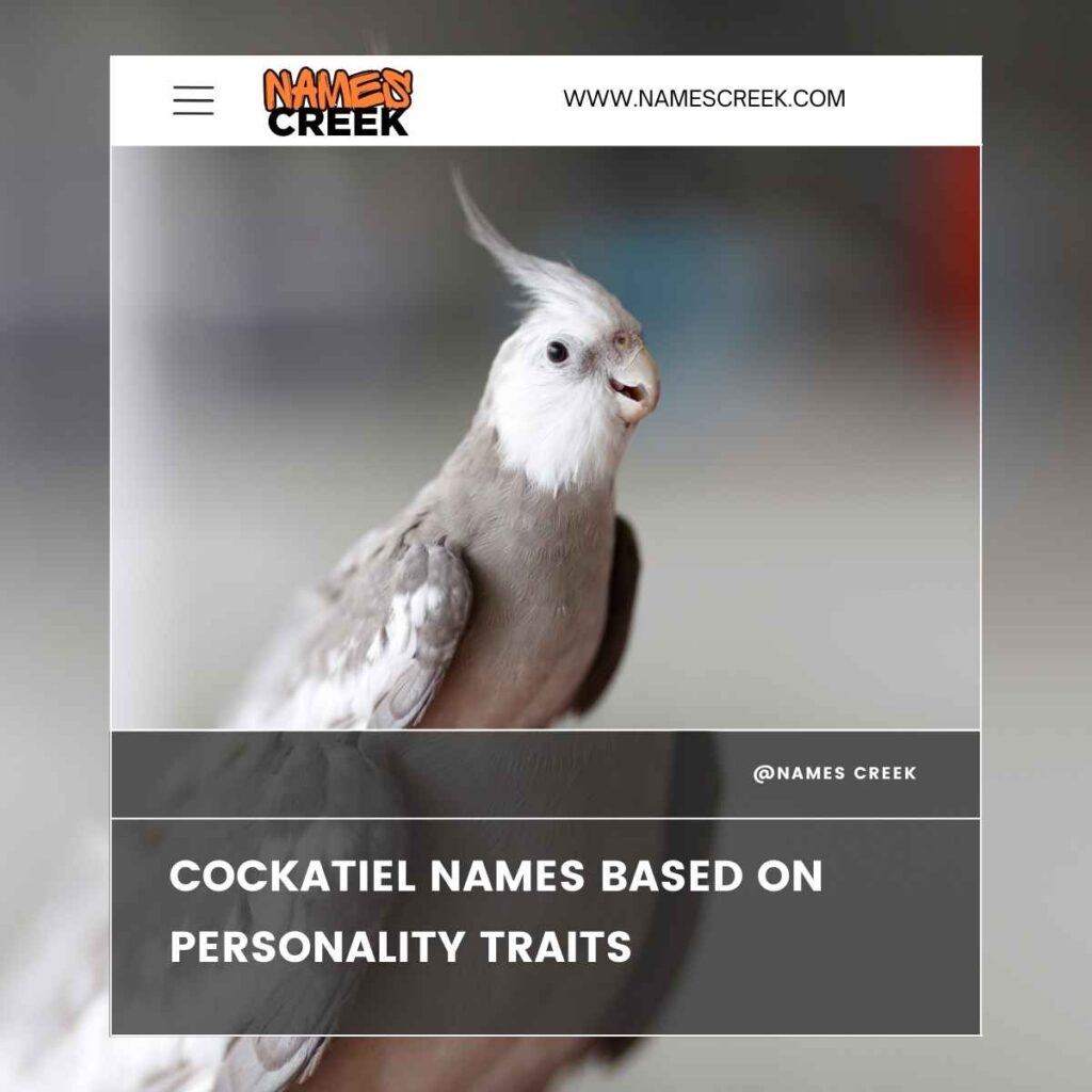 Cockatiel Names Based on Personality Traits