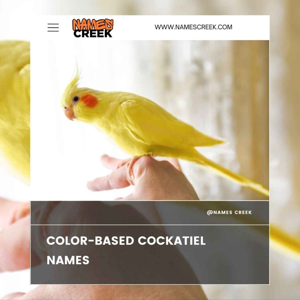 Color-Based Cockatiel Names