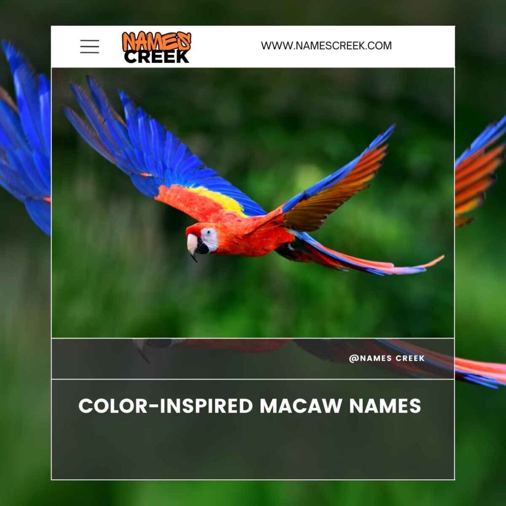 Color-Inspired Macaw Names