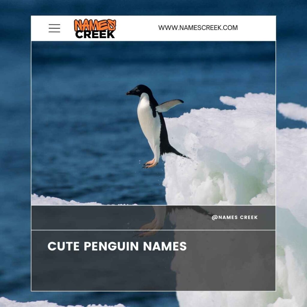 Cute Penguin Names