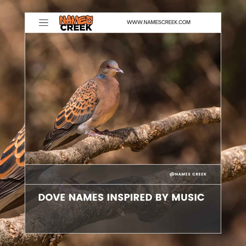 Dove Names Inspired by Places