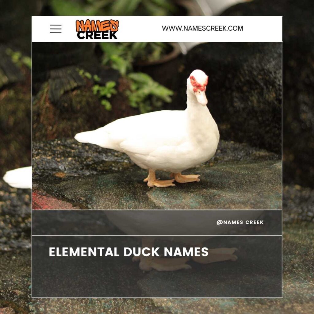 Elemental Duck Names